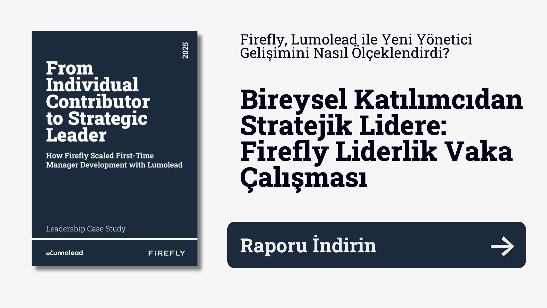 Bireysel Katılımcıdan Stratejik Lidere: Firefly Liderlik Vaka Çalışması